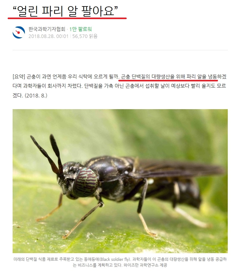 naver_com_20180903_235406.jpg