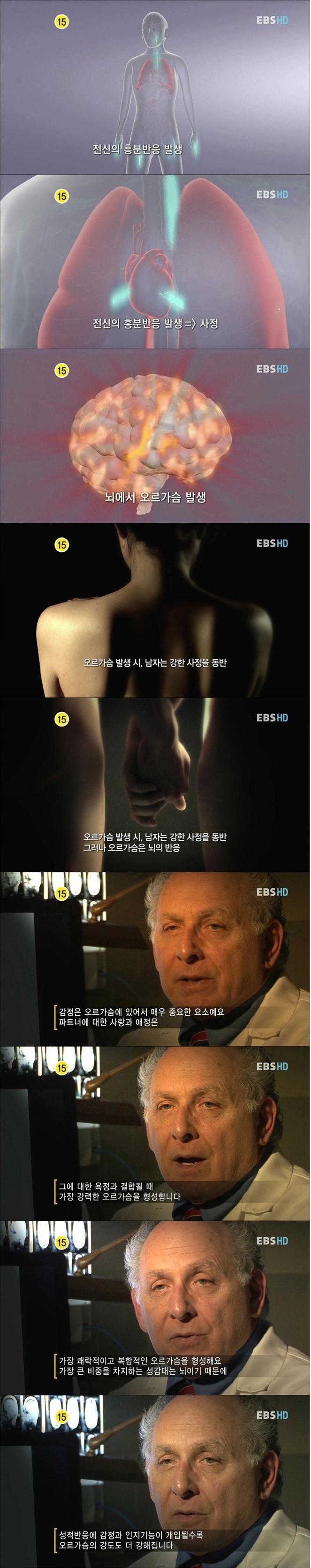 섹스에 대한 잘못된 상식45.jpg