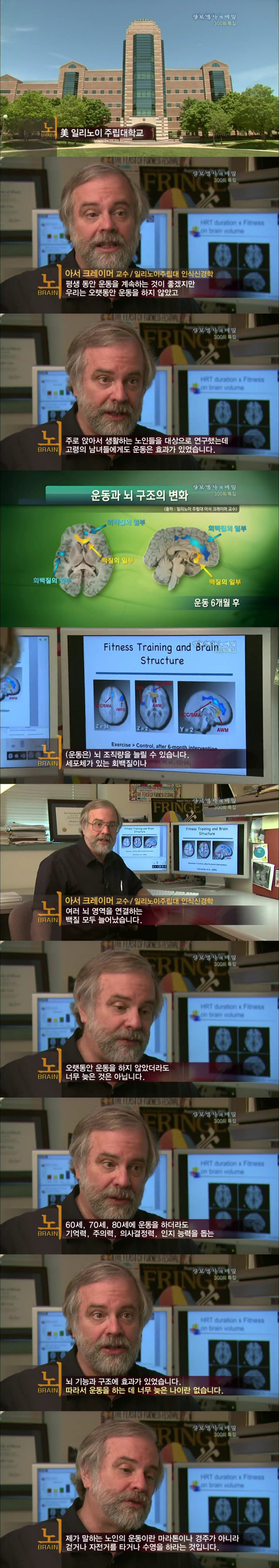 운동이_뇌에_미치는_영향.jpg