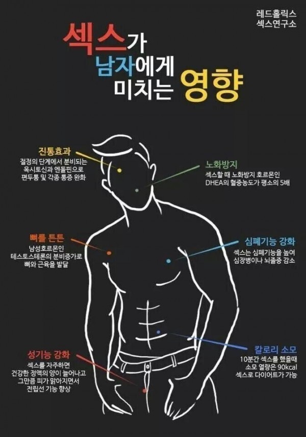 섹스가 남자에게 미치는 영향.jpg